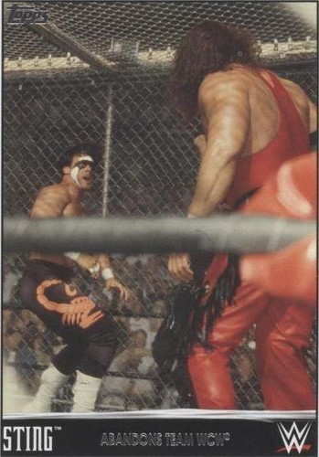 2015 Topps WWE - Sting #29