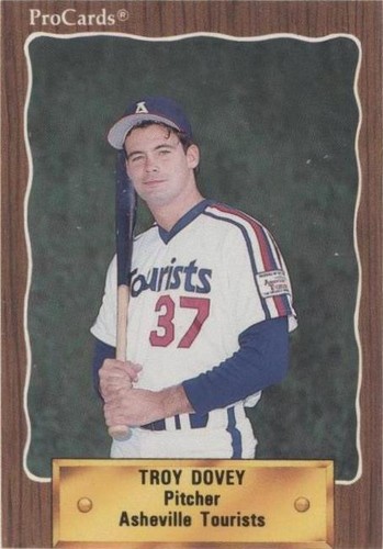 1990 ProCards Minor League - Troy Dovey #2739