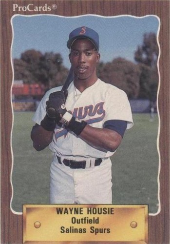 1990 ProCards Minor League - Wayne Housie #2731