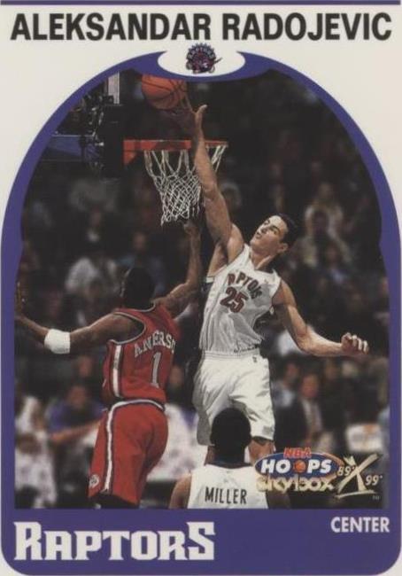 1999-00 Skybox NBA Hoops Decade - Aleksandar Radojevic #43