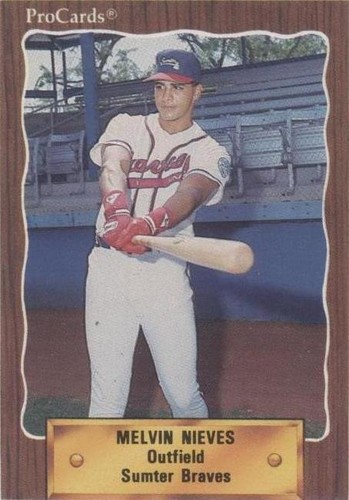 1990 ProCards Minor League - Melvin Nieves #2447