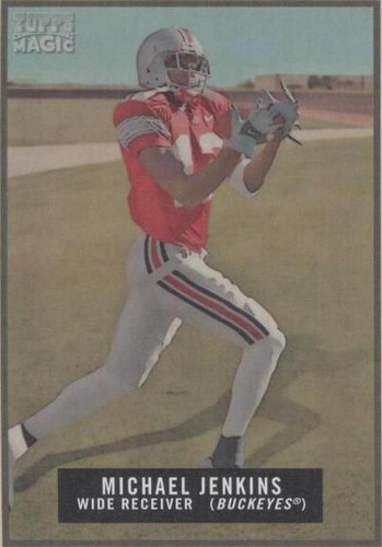 2009 Topps Magic Michael Jenkins #203