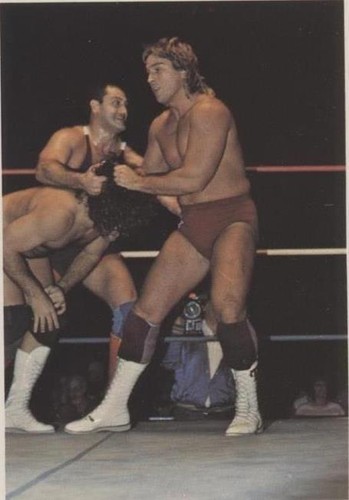 1988 Wonderama NWA - Terry Taylor #140