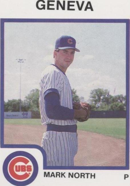 1987 ProCards Minor League - Mark North #2624