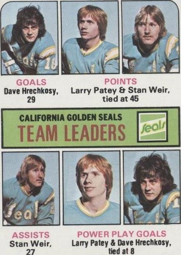 1975-76 Topps - Dave Hrechkosy Larry Patey Stan Weir #316