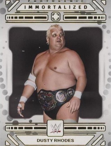 WWE ダスティーローデス 2010 Topps WWE #93 