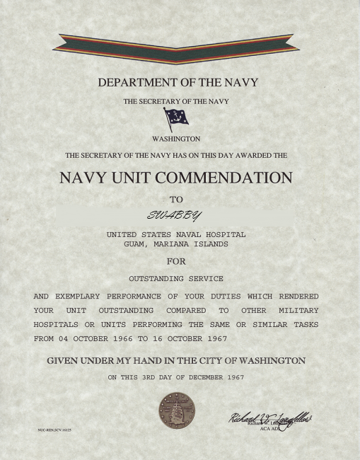 MERITORIOUS UNIT COMMENDATION LAPEL AWARD US NAVY MARINES COAST GUARD