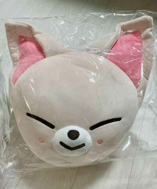 Stray Kids SKZOO テディベア FoxI.Ny Stray Kids SKZOO FOXI.NY I.N. Official Plush Cushion