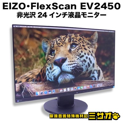 EIZO FlexScan EV2450 1920x1080 Full HD 23.8 inch Monitor