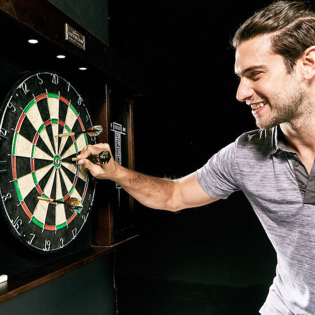 Darts Dart Board Dartboard Throwing Set Decor Man Cave Game Room Cabinet Wood