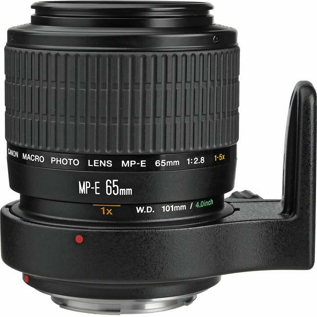 サ*ー様 Canon MACRO MP-E 65mm 1:28 Canon MP-E 65mm f/2.8 1-5X Macro Lens | eBay