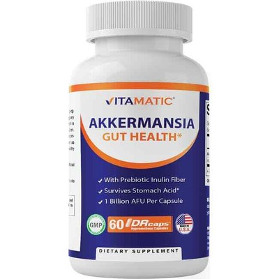 Витаминизированный продукт для здоровья кишечника Аккермансия, приготовленный на основе пребиотической клетчатки инулина