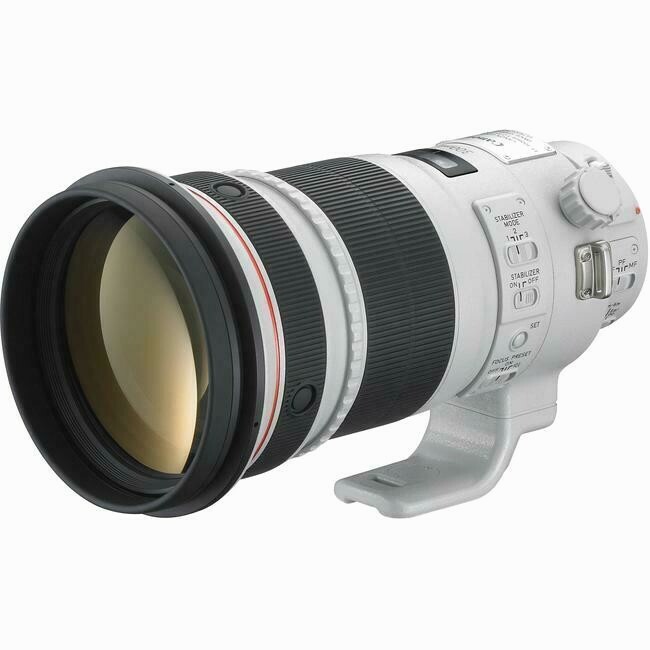 Canon EF 300mm f/2.8 L IS USM レンズ Canon EF 300mm f/2.8L USM Review & Sample Image Files by Ken