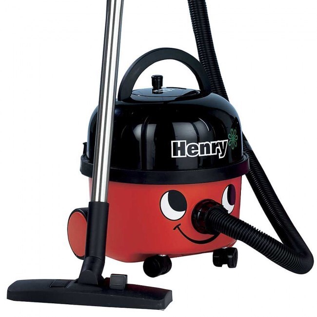 Henry Hoover in Newquay, Cornwall Gumtree