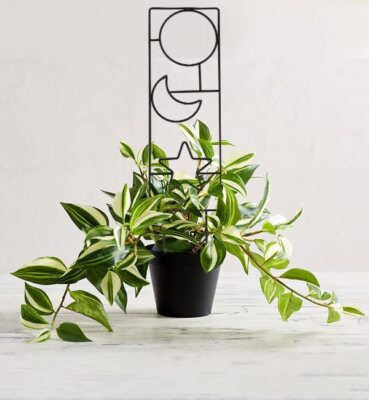 Plant Trellis for Climbing Plants Indoor 15.94Inch Small Garden Metal Houseplant