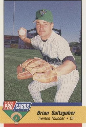 1994 Fleer ProCards Minor League - Brian Saltzgaber #2133