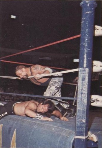 1988 Wonderama NWA - Luke Williams #282