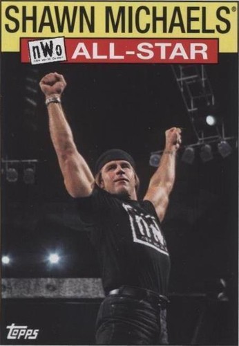 2016 Topps Heritage WWE - Shawn Michaels #18