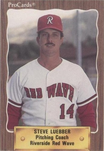 1990 ProCards Minor League - Steve Luebber #2623
