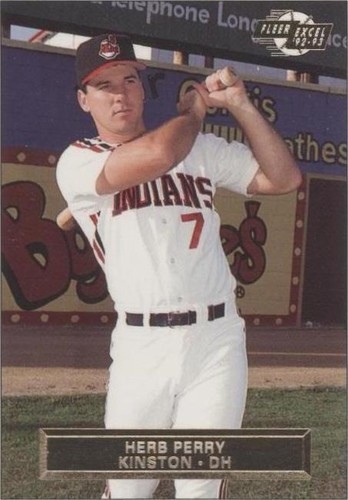 1992-93 Fleer Excel - Herb Perry #163