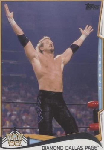 2014 Topps WWE - Diamond Dallas Page #99