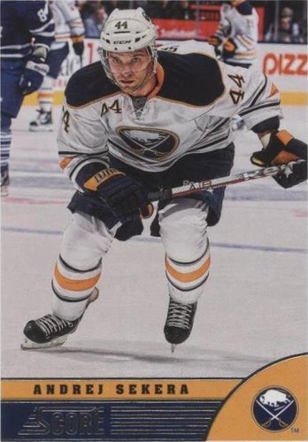 2013-14 Score - Andrej Sekera #55