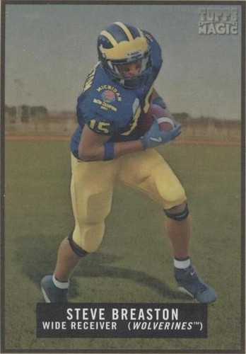 2009 Topps Magic Steve Breaston #146