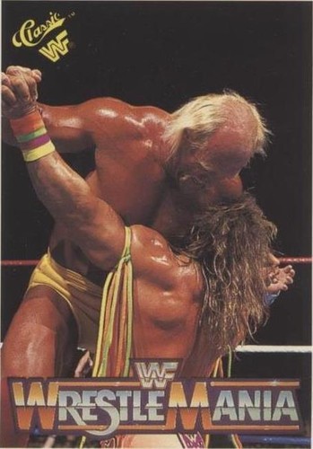 WWF　Summerslam 91　VHS WWF Summerslam 91 VHS - メルカリ