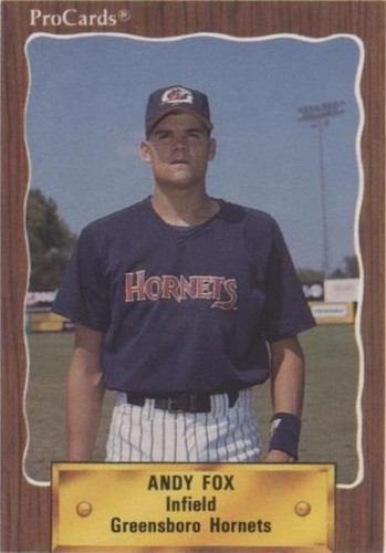 1990 ProCards Minor League - Andy Fox #2668