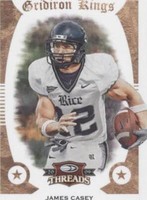 2009 Donruss Threads James Casey #20