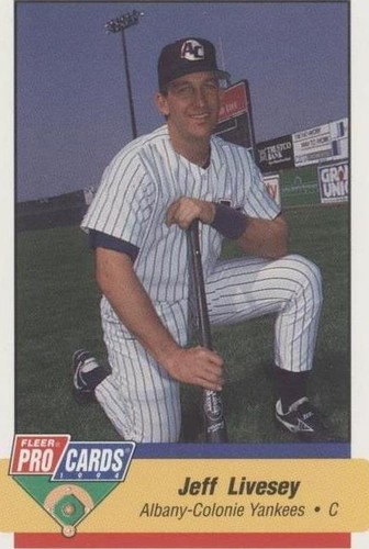 1994 Fleer ProCards Minor League - Jeff Livesey #1444