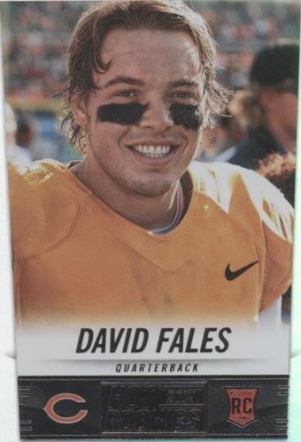 2014 Panini Hot Rookies David Fales #359