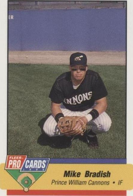 1994 Fleer ProCards Minor League - Mike Bradish #1926