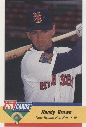 1994 Fleer ProCards Minor League - Randy Brown #654
