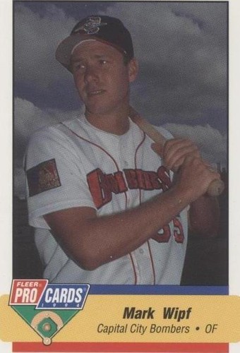 1994 Fleer ProCards Minor League - Mark Wipf #1766