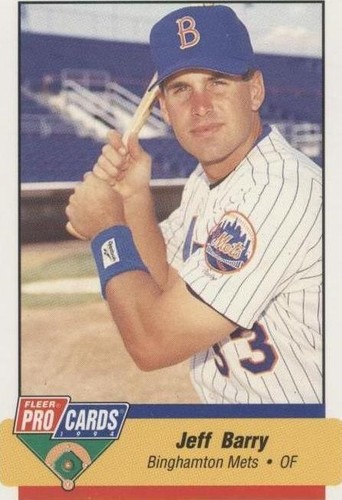 1994 Fleer ProCards Minor League - Jeff Barry #714