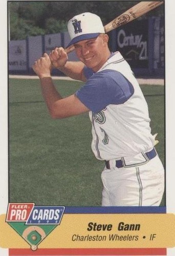 1994 Fleer ProCards Minor League - Stephen Gann #2711