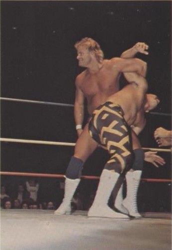 1988 Wonderama NWA - Sean Royal Stan Lane #60
