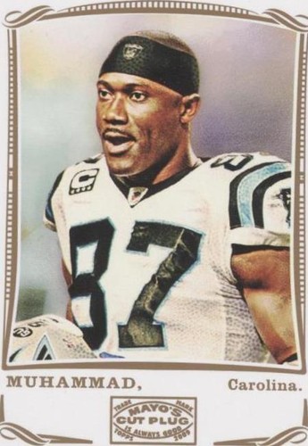 2009 Topps Mayo Muhsin Muhammad #198