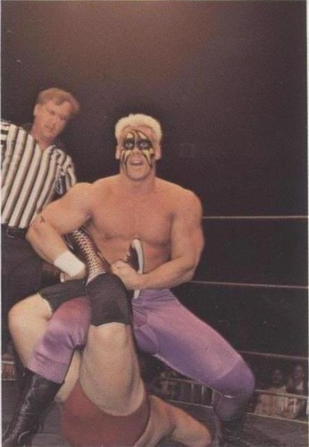 1988 Wonderama NWA - Sting #102