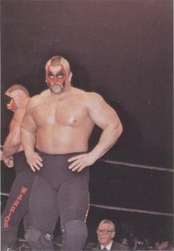 1988 Wonderama NWA - Road Warrior Animal #259