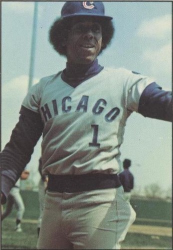 1976 SSPC - Jose Cardenal #310