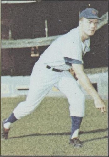 1978 TCMA The 1960's I - Larry Bearnarth #1978-0061