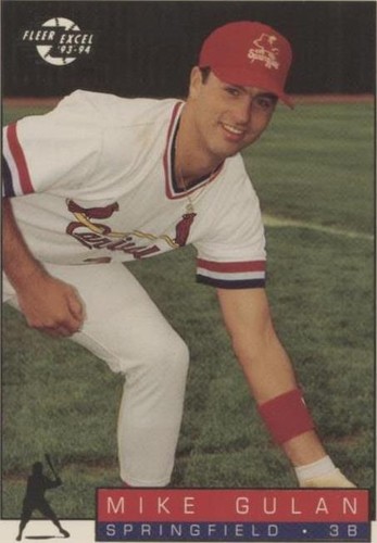 1993-94 Fleer Excel - Mike Gulan #266
