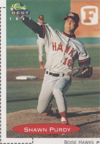 1991 Classic Best Minor League - Shawn Purdy #447