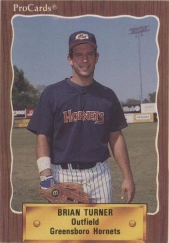 1990 ProCards Minor League - Brian Turner #2678