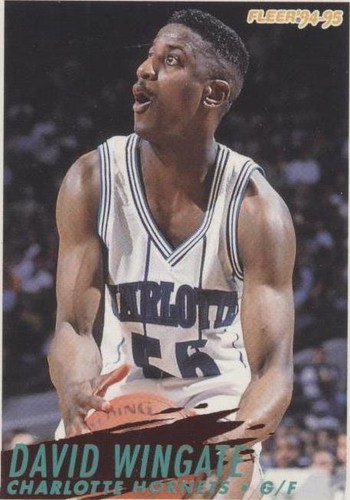 1994-95 Fleer - David Wingate #28