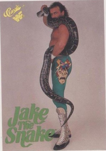 1990 Classic WWF - Jake "The Snake" Roberts #7