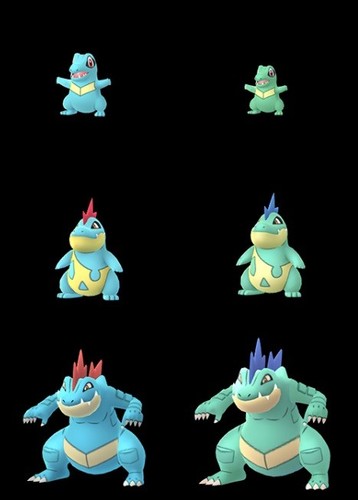 Pokemon Go January Community Day All 3 Time Zones Service Max Shiny Totodile