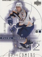 2001-02 Upper Deck Challenge for the Cup - Pavel Skrbek #116